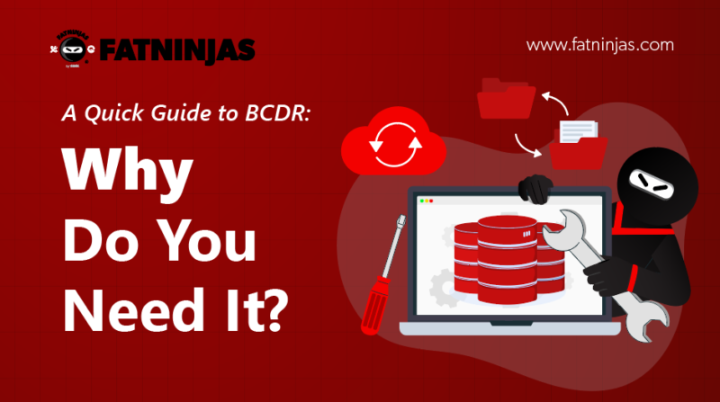 A Quick Guide to BCDR: Why Do You Need It? - FatNinjas Managed Services